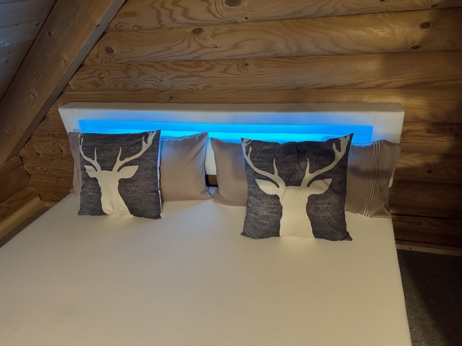 Alpenglück Blockhaus in der Ziegelwies Füssen - Bild 17